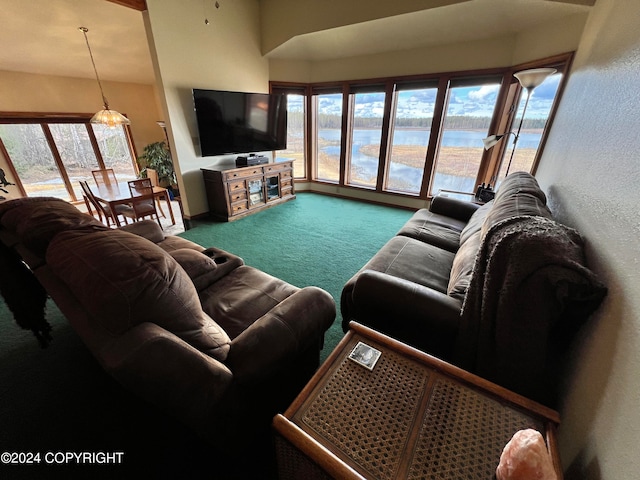 living room featuring carpet flooring