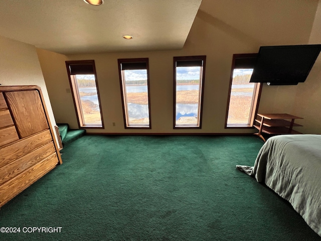 bedroom with carpet flooring