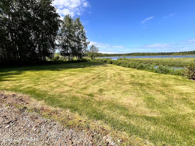 view of yard with a water view