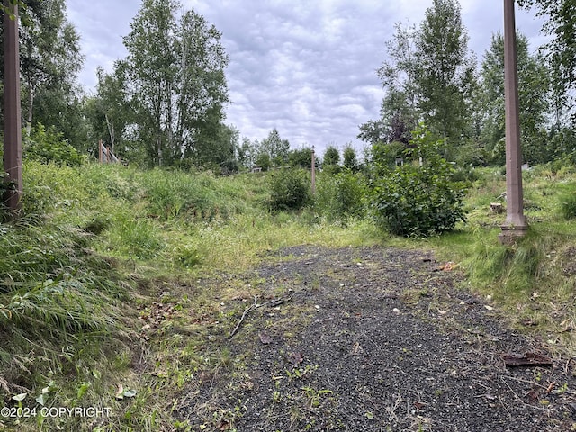 L5 Vadla Way, Anchorage AK, 99504 land for sale