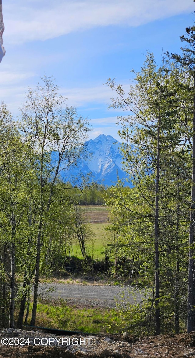 view of mountain feature