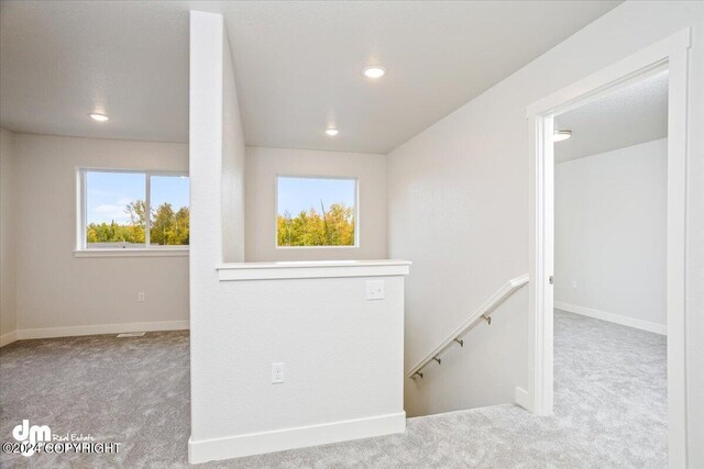 interior space with light colored carpet