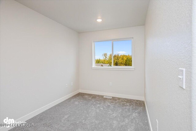 view of carpeted empty room