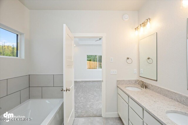 bathroom with vanity, a bathing tub, and a healthy amount of sunlight