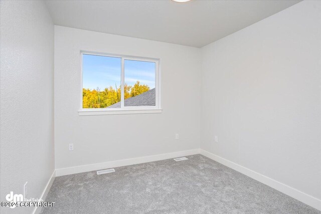 spare room with carpet floors