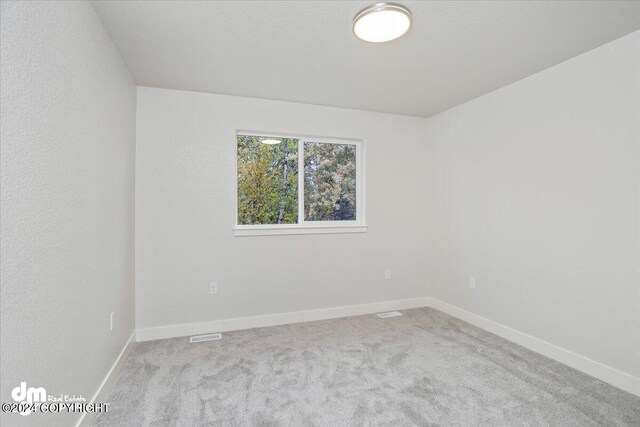 unfurnished room featuring light carpet