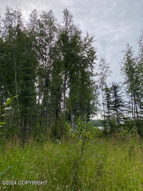 3846 N White Knight Dr, Wasilla AK, 99623 land for sale