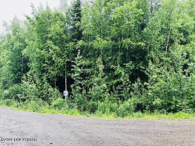 37095 Birkenweg St, Soldotna AK, 99669 land for sale