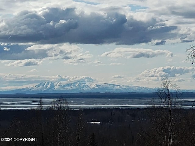 property view of mountains featuring a water view