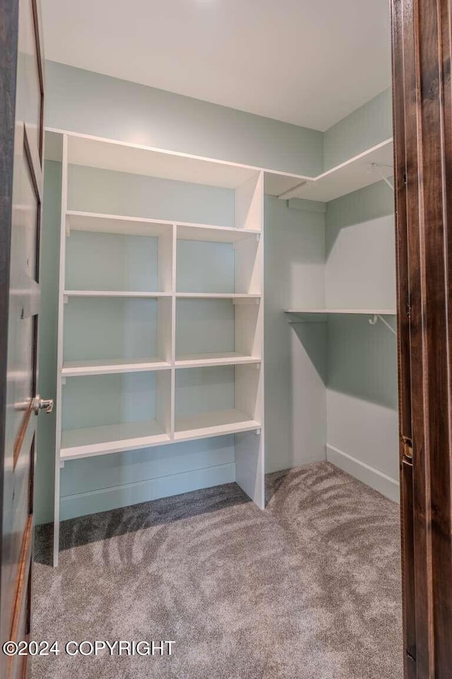 walk in closet with carpet