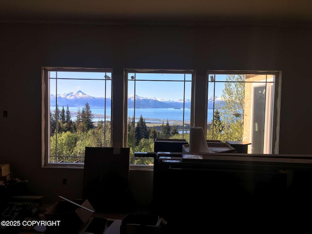 interior space with a healthy amount of sunlight and a water and mountain view