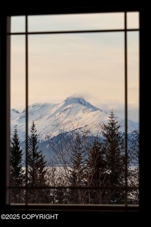 view of water feature featuring a mountain view