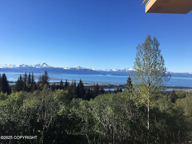 property view of water with a mountain view