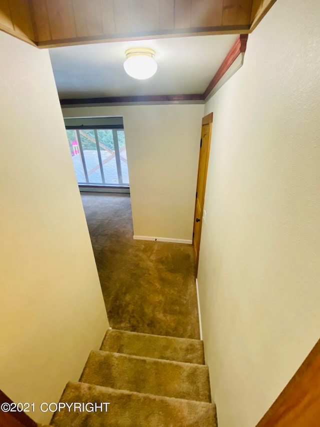 stairs featuring dark carpet and crown molding