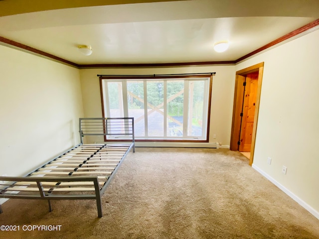 spare room featuring ornamental molding and carpet