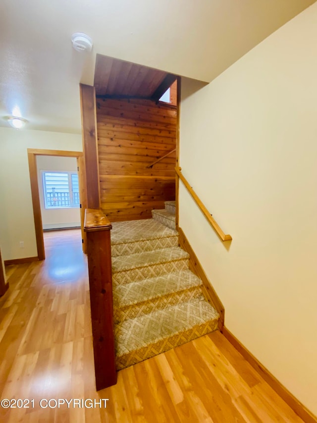 stairway with wooden walls and wood-type flooring