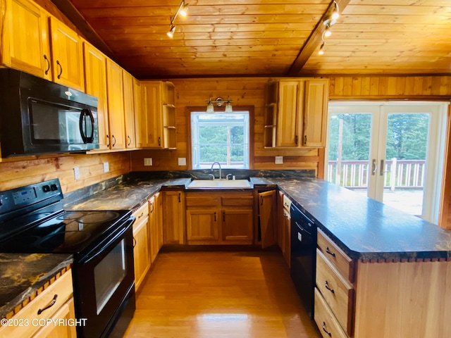 kitchen featuring a wealth of natural light, black appliances, and rail lighting