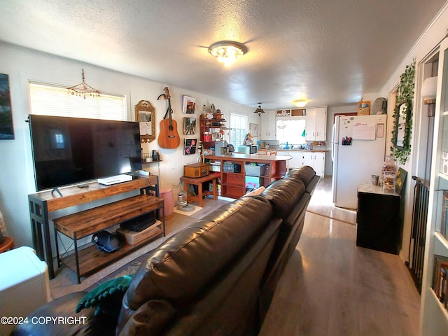 living room with plenty of natural light, a textured ceiling, and light wood-type flooring