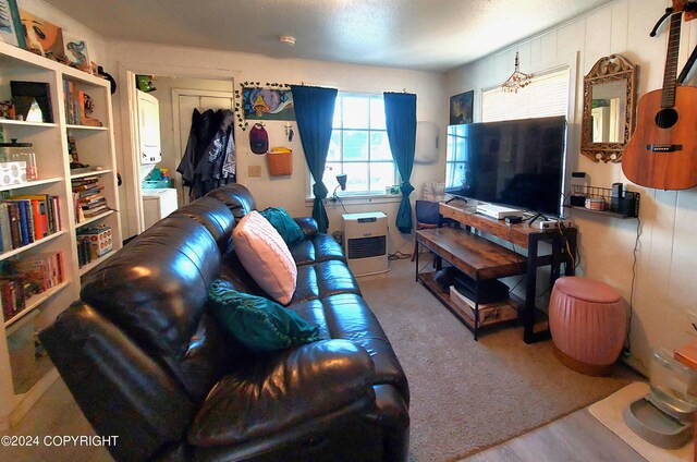 living room with light hardwood / wood-style flooring