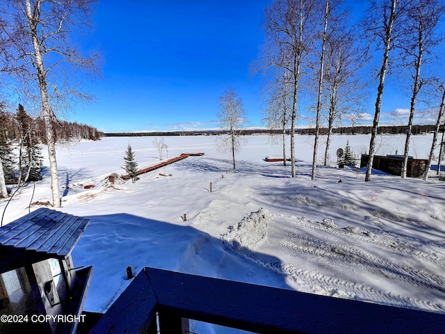 view of snowy yard