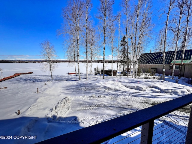 view of yard covered in snow