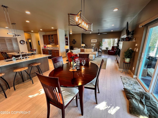 dining area with sink, ceiling fan, and light wood-type flooring