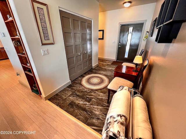 entrance foyer featuring dark hardwood / wood-style flooring