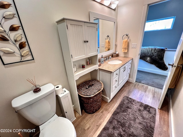 bathroom with wood-type flooring, vanity, and toilet