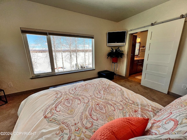 carpeted bedroom with ensuite bathroom and a barn door