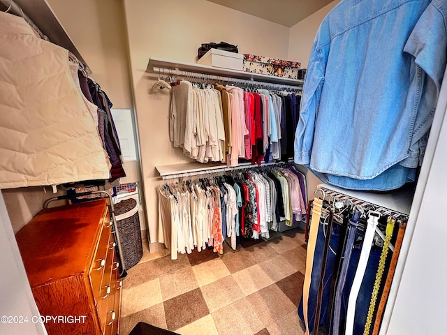 walk in closet with carpet