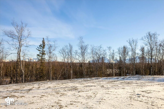 view of local wilderness