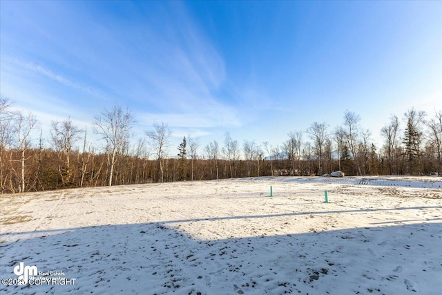 view of snowy yard