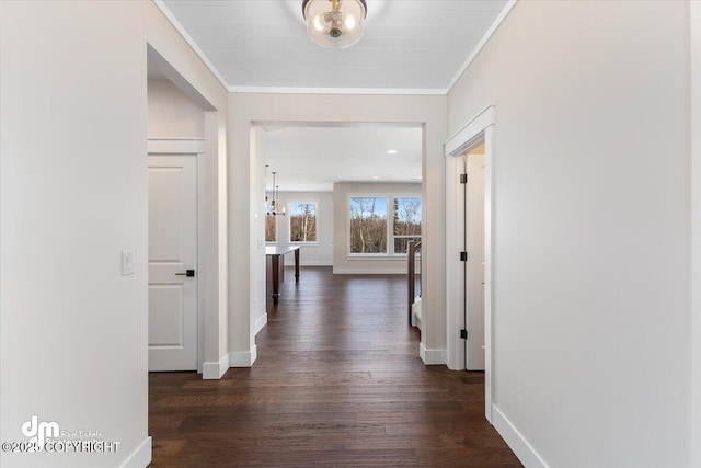 corridor with crown molding and dark hardwood / wood-style flooring