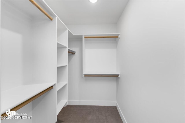 walk in closet with dark carpet