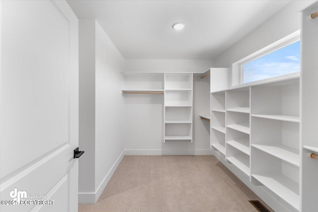 spacious closet featuring light colored carpet