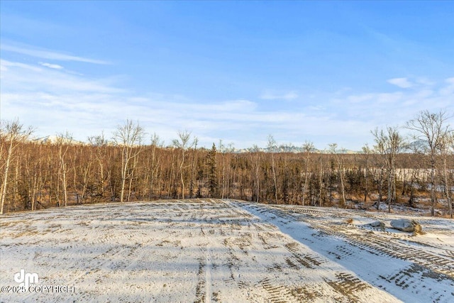 view of snow covered land