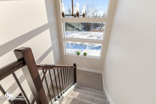 stairway featuring carpet flooring