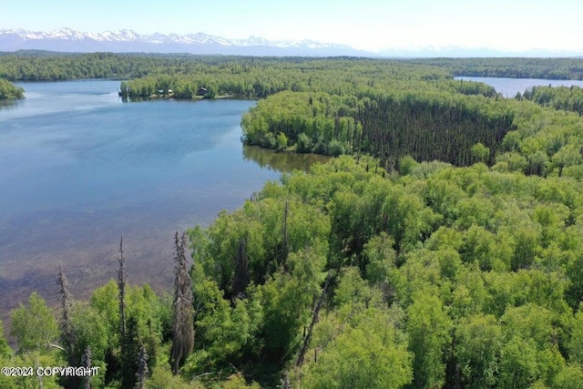 22783 S Twin Island Dr, Wasilla AK, 99654 land for sale