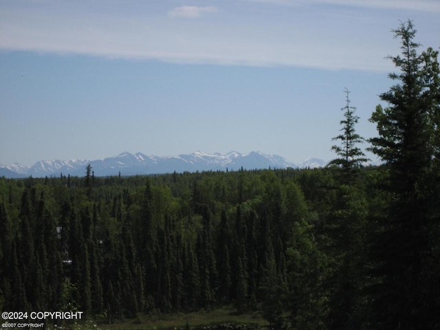 36570 Edgington Rd, Soldotna AK, 99669 land for sale