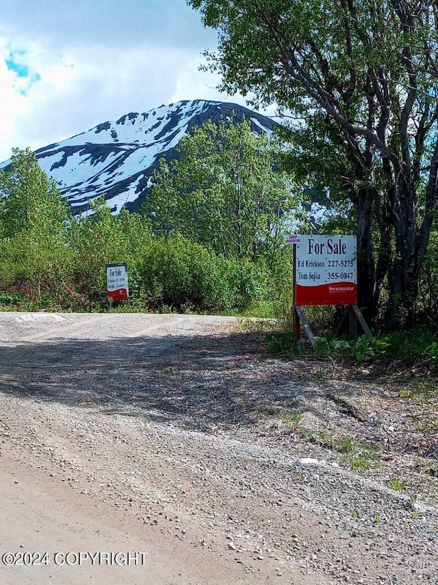 Listing photo 3 for MILE18 Willow-Fishhook Rd, Willow AK 99688