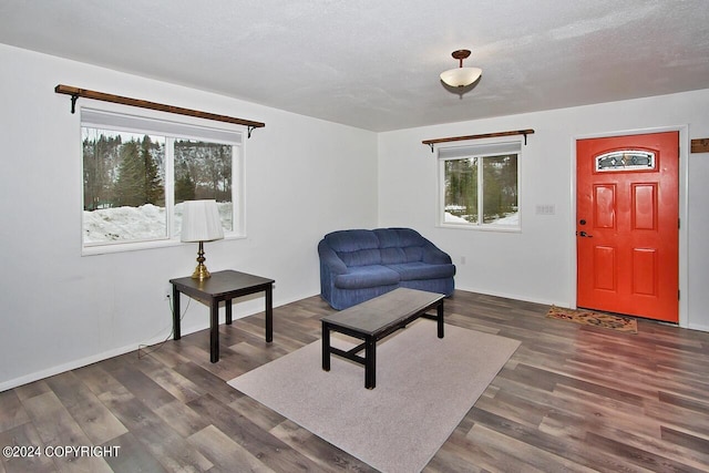 living area featuring a textured ceiling and dark hardwood / wood-style floors