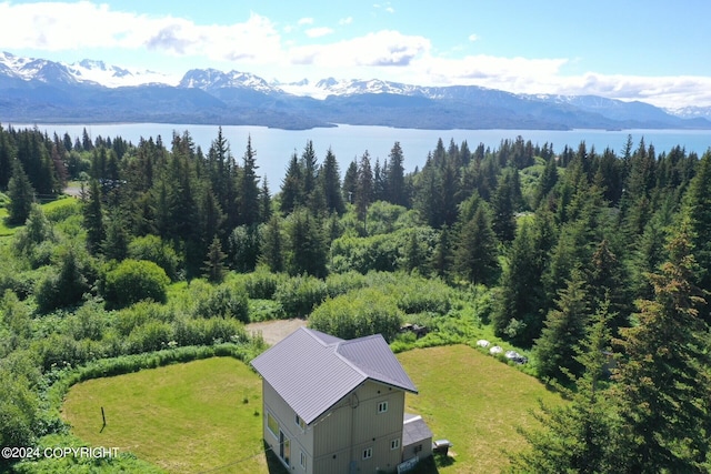 aerial view with a mountain view