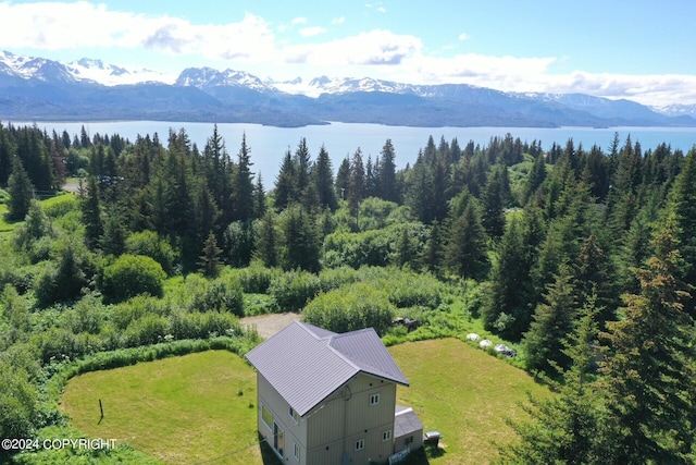 32817 Puzzlz Cir, Homer, AK 99603 - photo 1
