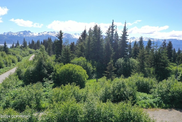 property view of mountains with a view of trees