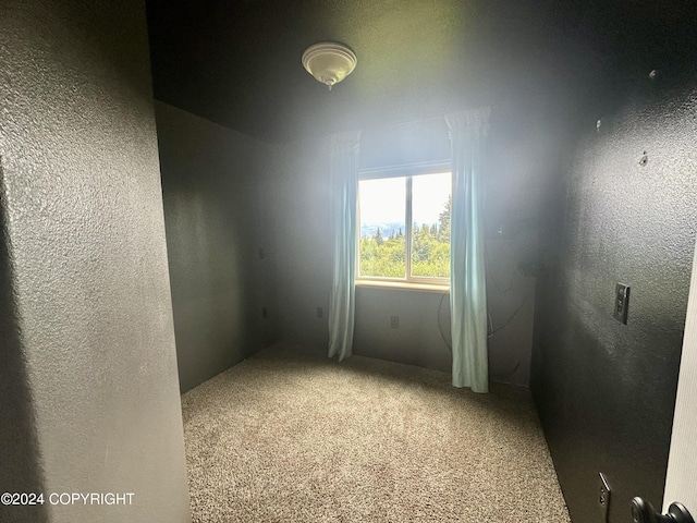 carpeted spare room with a textured wall