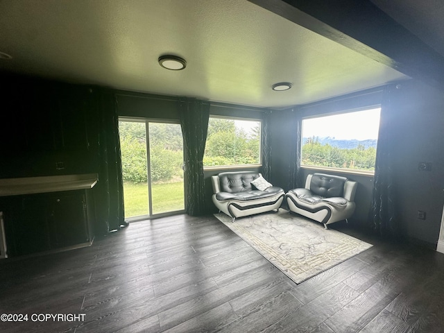 living area featuring wood finished floors