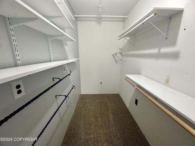 spacious closet with carpet