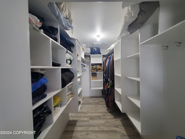 spacious closet with light wood-type flooring