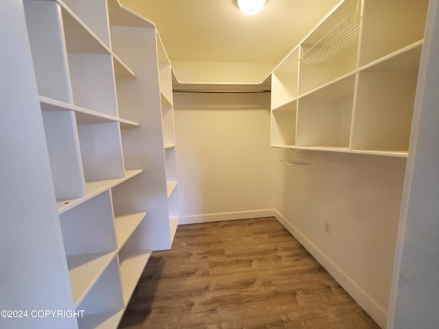 walk in closet with hardwood / wood-style flooring