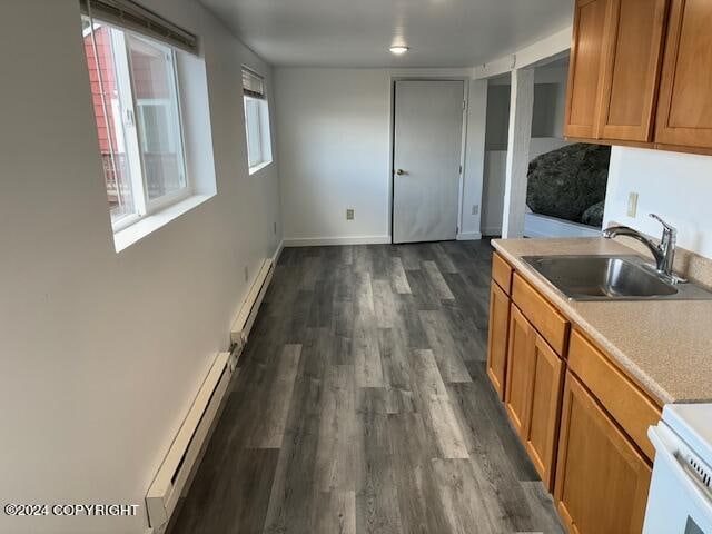 kitchen with sink, plenty of natural light, and dark hardwood / wood-style flooring